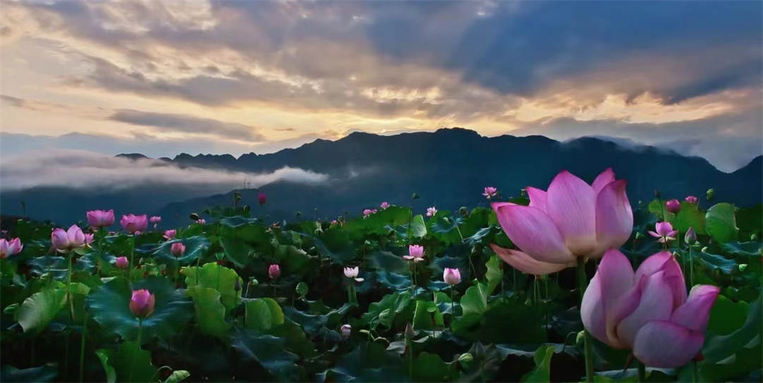 槍林企管分享：領(lǐng)導(dǎo)，你做的合格嗎？